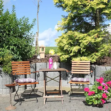 Lägenhet Haus Friederike Ab 6 Uebernachtungen, Inclusive Meine Card Willingen (Upland)