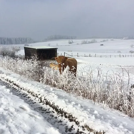 アパート Haus Friederike Ab 6 Uebernachtungen, Inclusive Meine Card *