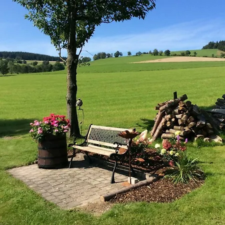 Apartment Haus Friederike Ab 6 übernachtungen, Inclusive Meine Card Willingen (Upland)