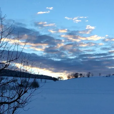 アパート Haus Friederike Ab 6 Uebernachtungen, Inclusive Meine Card