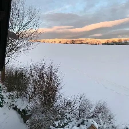 Haus Friederike Ab 6 Uebernachtungen, Inclusive Meine Card アパート ヴィリンゲン