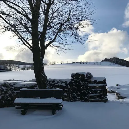 Haus Friederike Ab 6 übernachtungen, Inclusive Meine Card Willingen (Upland)