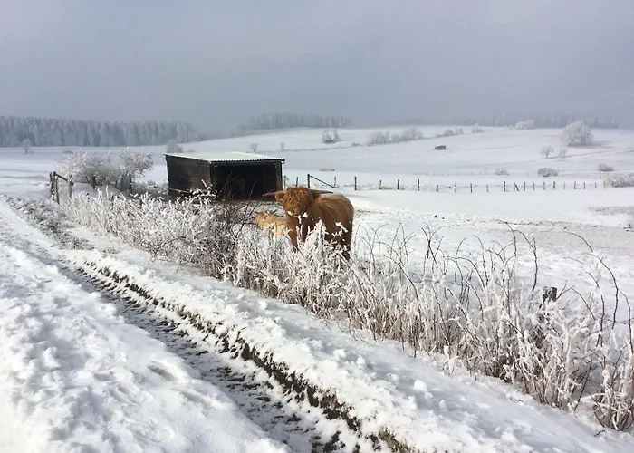 Apartamento Haus Friederike Ab 6 übernachtungen, Inclusive Meine Card *