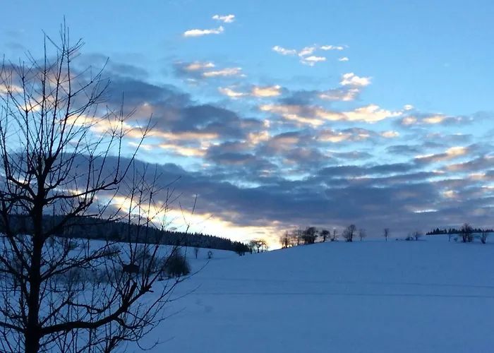 Apartamento Haus Friederike Ab 6 übernachtungen, Inclusive Meine Card