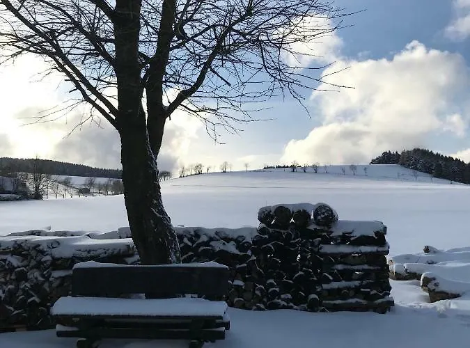 Haus Friederike Ab 6 übernachtungen, Inclusive Meine Card Willingen (Upland)